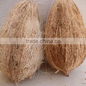 Pollachi Fresh Coconut for Sale thumbnail-1