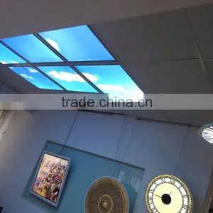 MICROSTONE 3x2 Customized Colorful SKY Led Ceiling Mount Light thumbnail-5