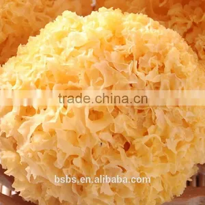 Low Price Tremella Chinese White Fungus thumbnail-1