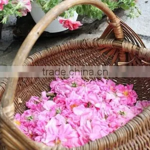 100 Pure Natural Rose Oil thumbnail-1