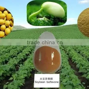 Food Grade Soybean Lecithin Powder thumbnail-1