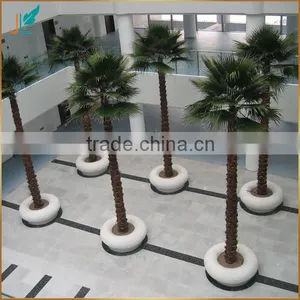 Indoor Preserved Washingtonia Palm Tree Fake Tropical Big Palm Tree thumbnail-6