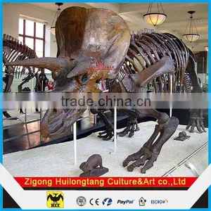 Museum Exhibitions Dinosaur Skeleton Replicas thumbnail-1