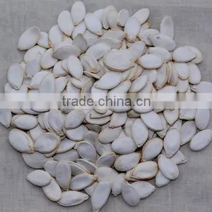 Snow White Pumpkin Seeds , Sesame Seed , Egussi Seed for Sale thumbnail-1