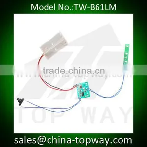 Flashing Led Module With Motion Sensor for P.O.P.display thumbnail-1