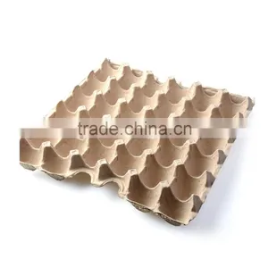 Pulp Moulding Tray and Egg Box/paper Pulp Egg Tray thumbnail-5