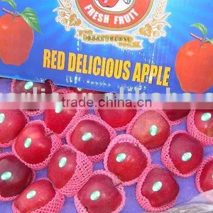Fresh Chinese Red Delicious Apple thumbnail-1