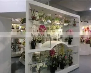 Shenzhen HYS Trading Co., Ltd. company overview - view 3 thumbnail