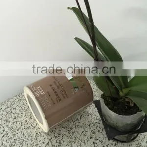 2016 Best Price Waterproof Vinyl Material Printed Self-adhesive Labels Stickers in Roll thumbnail-2