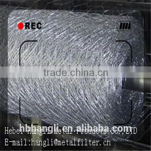 2015hot Sale China Supplier Low Price Stainless Steel Hexagonal Wire Netting thumbnail-6