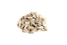Sunflower Kernels Sunflower Seeds Kernels thumbnail-1