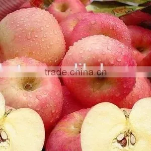 Top Quality Phloridzin 4%, 40%, 80%, 90%, 98% Apple Peel Powder Extract thumbnail-2