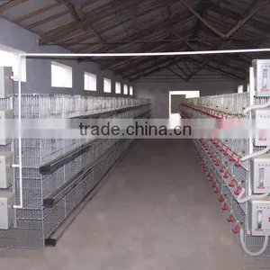 5 Tiers 144 Chicken Easy Clean Industrial Backyard Chicken Cage Coop House thumbnail-3