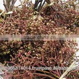 Zanthoxylum Rhetsa/Mac Khen thumbnail-2