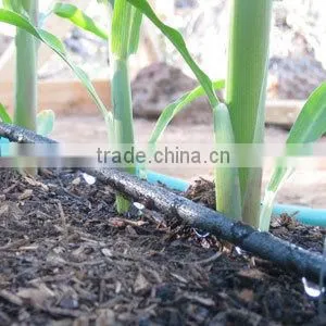 Farm Irrigation Drip Tape for Agriculture Watering 0.2mm Wall Thickness thumbnail-5