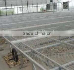 Young Plant Nursery thumbnail-2