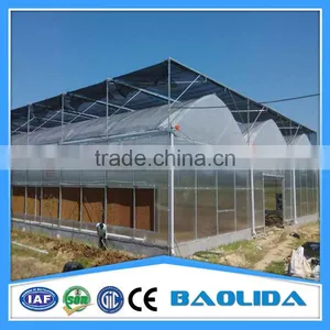 Walk In Greenhouse thumbnail-2