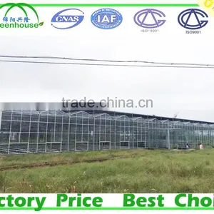 Large Size and Glass Cover Material Low Cost Greenhouse thumbnail-1