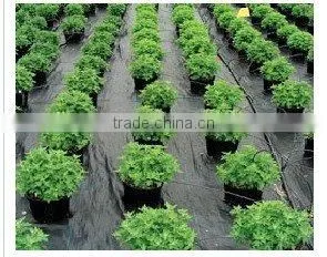 PP Weed Control Mat, Ground Cover thumbnail-1
