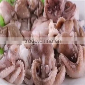 High Quality Frozen Small Baby Octopus for Sale With Good Price thumbnail-1