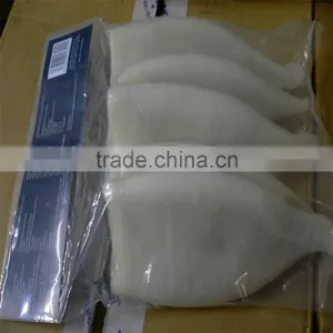 High Quality Pacific Squid Tube (Todarodes Pacificus) thumbnail-6