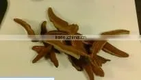Reishi Tea thumbnail-1