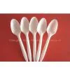 Supply Plastic Tea Spoons thumbnail-1