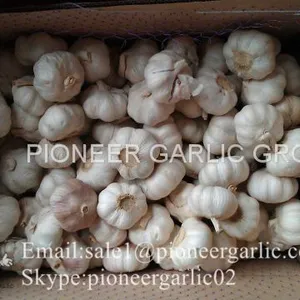 New Crop Natural Fresh Jinxiang Shandong White Garlic thumbnail-1