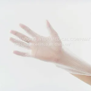 Vinyl Glove thumbnail-1