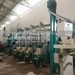 Project Turnkey Wheat Grinding Machine 20T Factory Popular Wheat Grinder Wheat Flour Making Machine thumbnail-3