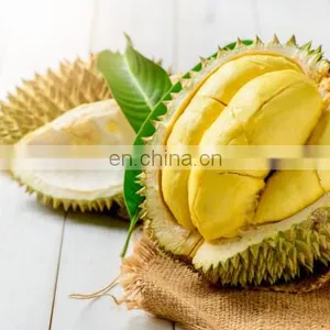 Premium Durian From The Nature Of Vietnam thumbnail-4