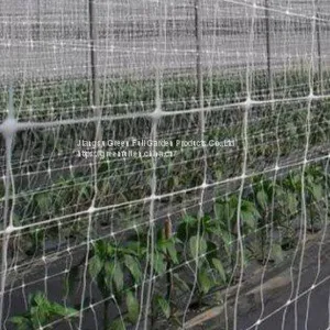 Plant Support Net thumbnail-1