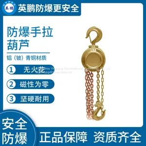 Guangzhou Yingpeng Explosion-proof Chain Hoist thumbnail-1