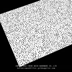 Placa Perforada From 0.3mm to 10mm Galvanized Perforated Metal /perforierte Platte /لوحة مثقوبة Stainless Steel Punched Hole Mesh/ Perforated Metal thumbnail-3