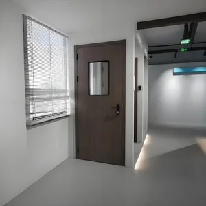 GMP Standard Cleanroom Swing Single Door Stainless Steel Hospital Doors Hermetic Medical Door thumbnail-5