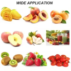 Large Capacity Single Channel Mango Fruit Pulping Machine Fruit Grinding Machine Fruit Juice Pressing Machine thumbnail-5