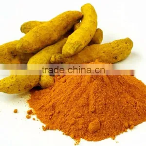 Purest Turmeric Powder Bulk Producers thumbnail-1