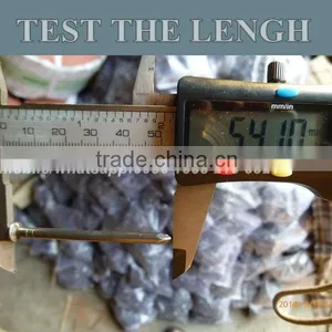 Common Wire Nails Supplier From China Special for Yemen Market thumbnail-5