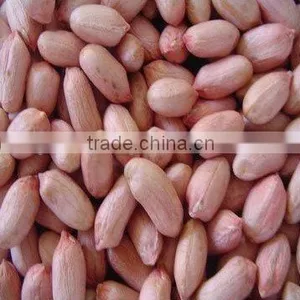 Good Peanut Kernel 24/28 in The2014 thumbnail-1