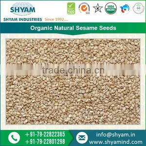 Highly Nutritious Top Rated Sesame Seeds Dealers thumbnail-6