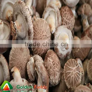 the Most Competitive Market Prices for Shiitake Mushroom thumbnail-2