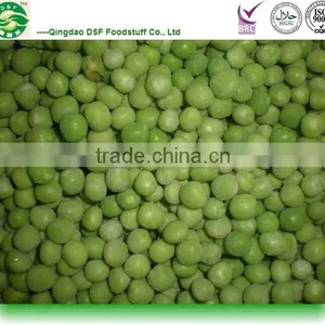 Good Sale and Best Quality IQF Frozen Fresh Green Peas thumbnail-2