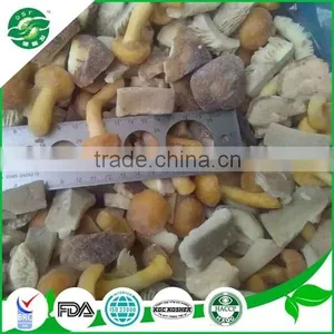 Iqf Frozen Mixed Mushroom (shiitake Nameko Oyster) thumbnail-3