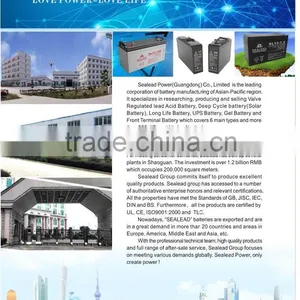 12 Voltage Storage Battery 24ah Inverter Batteries thumbnail-5