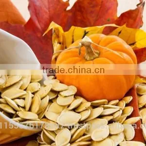 Roasted Pumpkin Seed thumbnail-1