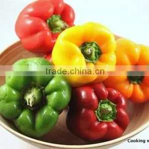 Fresh Bell Pepper- Capsicum With High Quality From Vietnam thumbnail-1