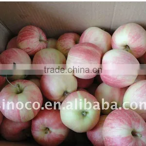 Royal Gala Apple With Super Quality thumbnail-1