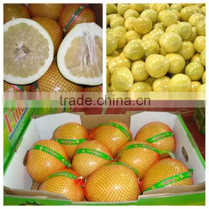 New Crop Fresh Honey Pomelo From Xiamen Port thumbnail-4
