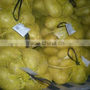 China Fresh Potato Packing in Yellow Mesh Bag thumbnail-1