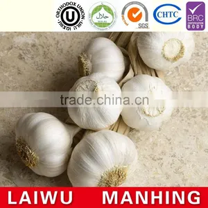 Red Fresh Garlic Supplier thumbnail-2